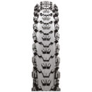 Maxxis Ardent Folding EXO TR Tyre