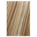 Showpony Professional Clip In Hair Extensions Heat Resistant Synthetic Style 406 - Honey Blonde 18 Inches