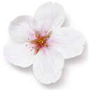 Rituals The Ritual of Sakura Mini Fragrance Sticks 50 ml