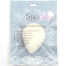 Spa To You Konjac Sponge