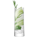LSA Gin Highball Glasses - 380ml (Set of 2)