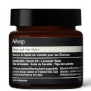 Aesop Violet Leaf Hair Balm 60ml