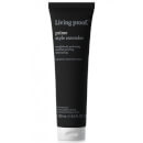 Living Proof Prime Style Extender Hair Primer