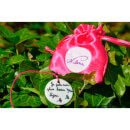 Nilena Sautoir Porcelaine pour femme enceinte ""Je porte mon plus beau bijou"