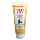 Burt's Bees Milk & Honey Body Lotion