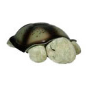 CLOUD B Twilight Turtle