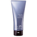 Shiseido ZEN for MEN Hair and Body
