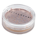 SHEER COVER Lip to Lid Highlighter Bronze