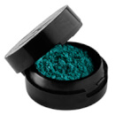 Make Up Store Eyedust