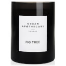Urban Apothecary Fig Tree Luxury Candle 300g
