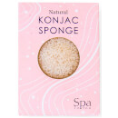 Spa To You Konjac Sponge