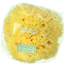 Hydrea London Honeycomb Sea Sponge, Size 4 - 4.5