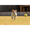 Man's Best Friend Dog Ball Launcher