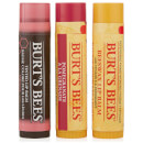 Burt's Bees Burt's Balm Jar Gift Set