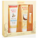 Burt's Bees Bundle of Nature Gift Set