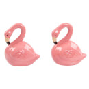 Sass & Belle Tropical Flamingo Salt and Pepper Shaker Set