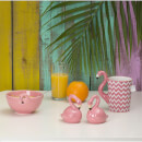 Sass & Belle Tropical Flamingo Salt and Pepper Shaker Set