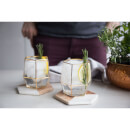 Geo Glass Tumblers - Gold (Set of 2)