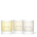 Signature Candle Collection (Worth $99)