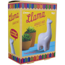 Llama Money Box