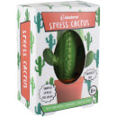 Stress Cactus