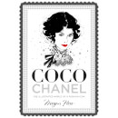 Bookspeed: Coco Chanel: The Illustrated World of a Fashion Icon