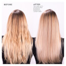Redken Color Extend Blondage Conditioner 8.5oz
