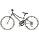Denovo Girls Alloy Bike - 24" Wheel
