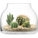 LSA Plant Funnel Pot - 21.5cm