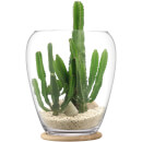 LSA Plant Tall Pot and Oak Base - 41cm