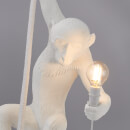 Seletti Indoor/Outdoor Ceiling Monkey Lamp - White