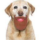 Dog Beard Toy