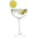 Tipsy Gin Glasses - 2 Pack