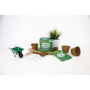Sow & Grow Dancing Dinosaur Plants