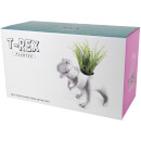 T-Rex Planter