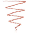Illamasqua Nude Collection Lip Liner - Raw