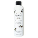 Lauren B. Beauty Polish Remover Liquid and Cuticle Treatment 6 fl oz