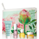 Darphin Exclusive Best of Darphin (Worth £50)
