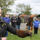 Falconry Taster for Two
