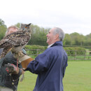 Falconry Taster for Two