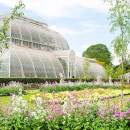 Visit to Kew Gardens and Palace for Two Adults