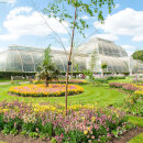 Visit to Kew Gardens with Cream Tea for Two