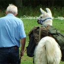 Llama Trekking for Two