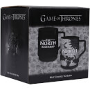 Game of Thrones Heat Changing Mug - North Remember