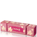 Caudalie Vinosource Cracker (Worth £20.50)