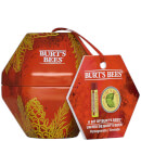 Burt's Bees A Bit of Burt's Bees - Pomegranate Gift Set
