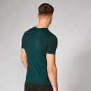 Sculpt Seamless T-Shirt - Alpine - XS
