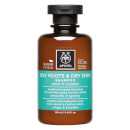 APIVITA Holistic Hair Care Oily Roots & Dry Ends Shampoo - Nettle & Propolis 250ml