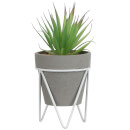 Succulent in Pot - Grey