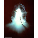 The Fly Limited Edition Art Print